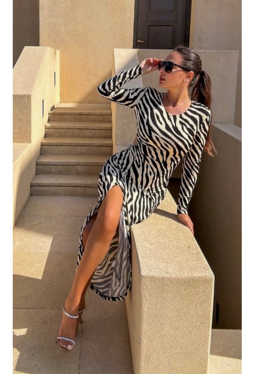 Zebra White and Black Zebra White and Black